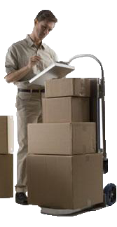 proveedores de Bepash Importadora